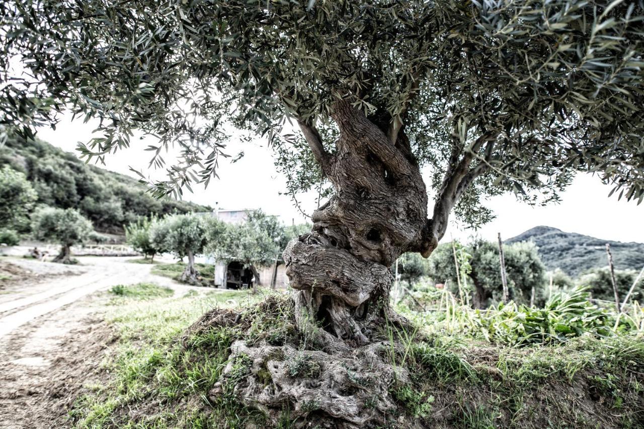 Borgo Rosso Di Sera Resort San Lucido Luaran gambar