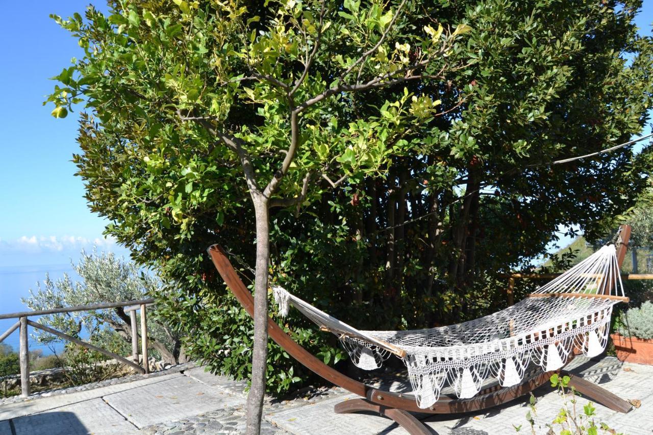 Borgo Rosso Di Sera Resort San Lucido Luaran gambar