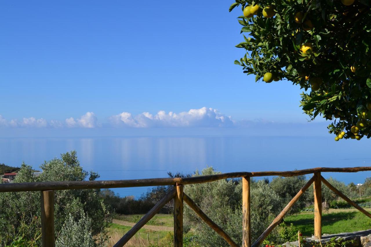 Borgo Rosso Di Sera Resort San Lucido Luaran gambar